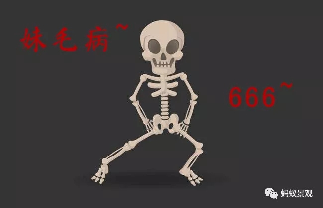 留園技術(shù)詳解手冊（上篇）