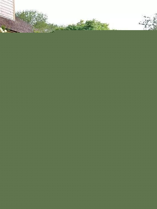 民宿設計：如果可以，我想有個這樣的小屋