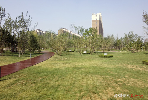 【源樹(shù)作品】地鐵上蓋公園——京投發(fā)展悅府公園景觀改造提升