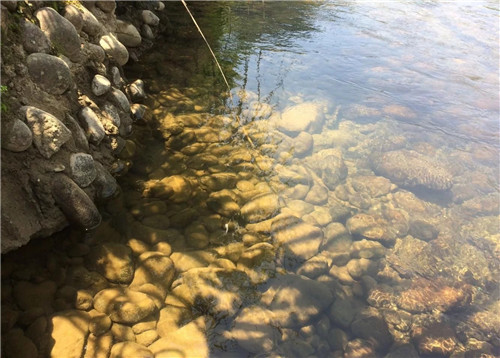 探訪世界文化與自然雙重遺產(chǎn)——武夷山