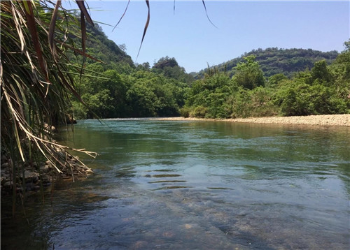 探訪世界文化與自然雙重遺產(chǎn)——武夷山