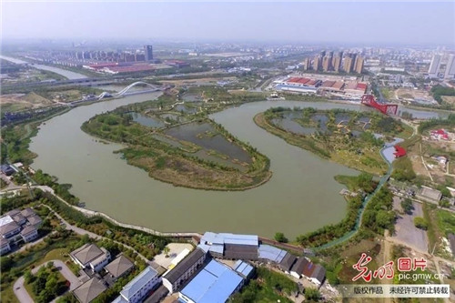 江蘇揚(yáng)州古運(yùn)河畔“長”出生態(tài)公園