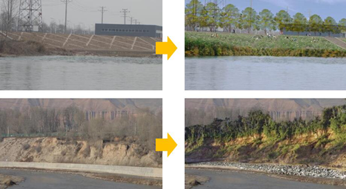 Marja、胡榮：具有地域特色的生態(tài)景觀規(guī)劃