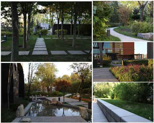 王達:從庭院到風景,重回中國造園的原點