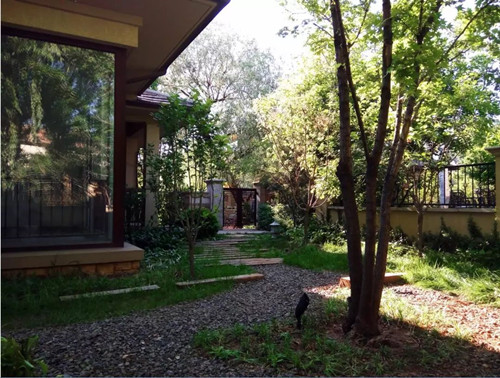 王達:從庭院到風景,重回中國造園的原點