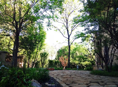 王達:從庭院到風景,重回中國造園的原點