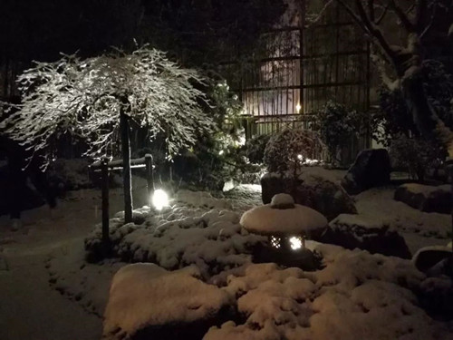 王達:從庭院到風景,重回中國造園的原點