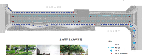 劉怡：城市雙修中“見縫插針”式的生態(tài)修復(fù)