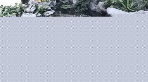 庭院設計水景有什么優點？