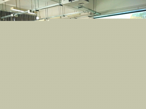 河北省第二屆（秦皇島）園博會花境創意大賽評審會舉辦