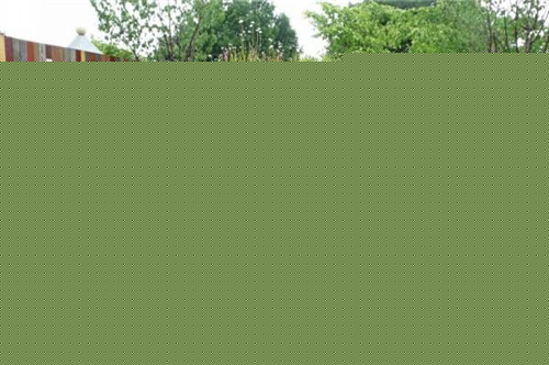 石頭“玫瑰花園”，深深打動了我！