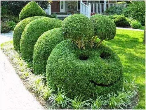 全球創(chuàng)意主題植物雕塑欣賞