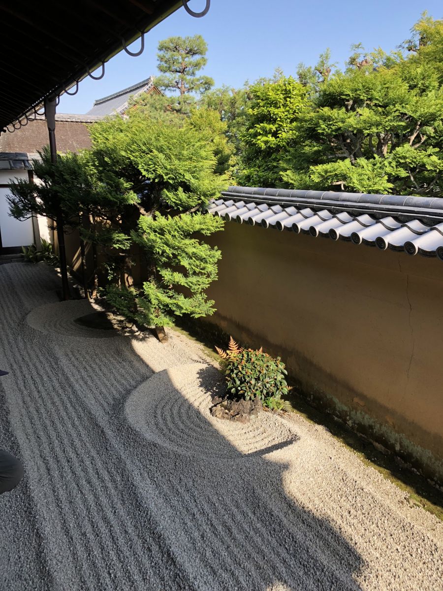 領略日本傳統庭院 考察京都最美河流