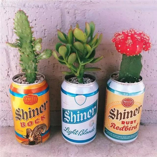 誰說養花插花一定得用花瓶？