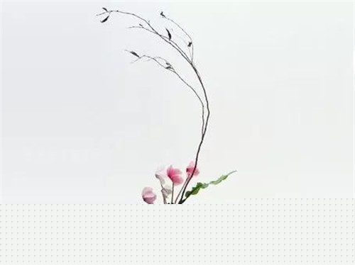 插花藝術讓你更懂得生活的情調