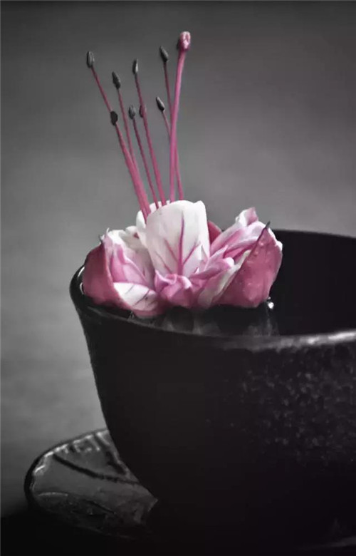 插花入瓶，生活在野