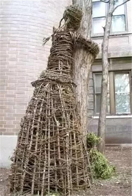 用樹枝與藤蔓，編織的庭院景觀雕塑