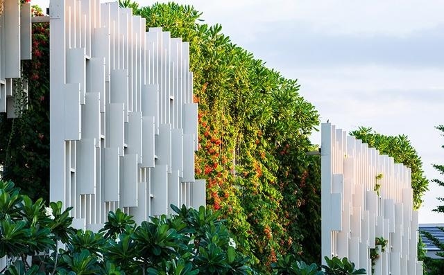 什么植物才適合用來做室外垂直綠化？