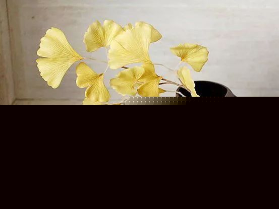把插花藝術，融于你的生活