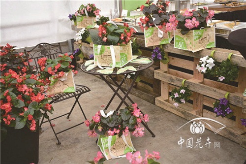 2018歐洲花卉新品展示會延續(xù)強勢