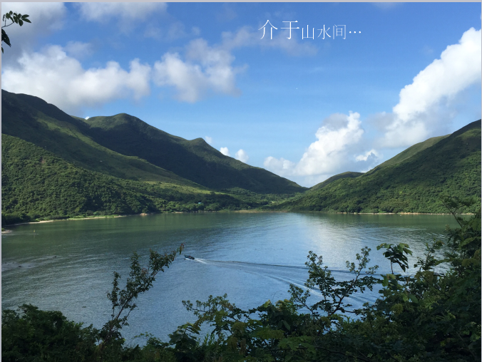 汪怡嘉：《特色城鎮的景觀設計與實踐---二澳農場規劃設計》