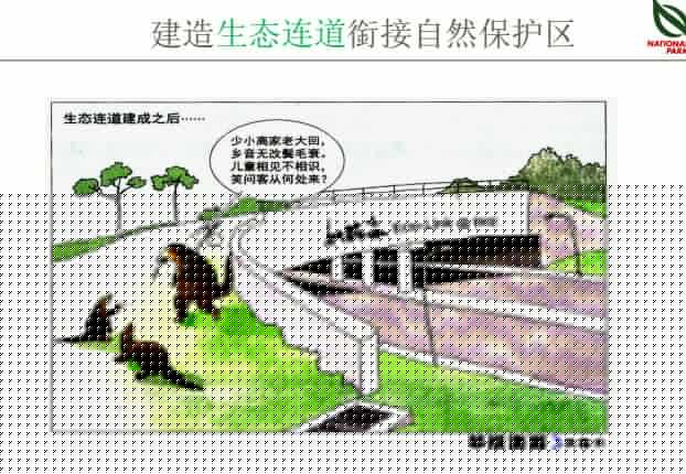 蔡福祥：《新加坡園林建設與管理》