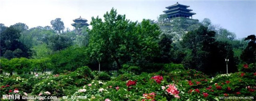 “公園—城市”關系的歷史變遷與發(fā)展趨勢