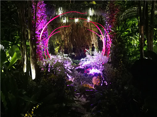 新加坡景觀專業(yè)考察 走進夢幻般的新加坡花園節(jié)