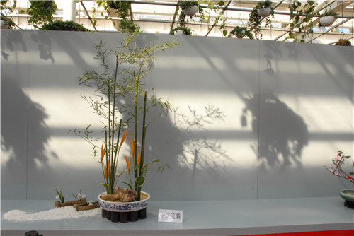 中國插花泰斗王蓮英獻(xiàn)藝河北省第二屆園博會