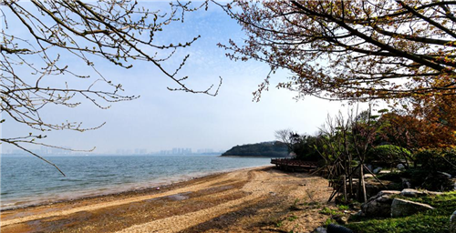 園冶杯專業(yè)獎(jiǎng)：岳陽(yáng)南湖龍山景區(qū)園林綠化景觀EPC項(xiàng)目