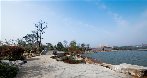 園冶杯專業(yè)獎(jiǎng)：岳陽(yáng)南湖龍山景區(qū)園林綠化景觀EPC項(xiàng)目