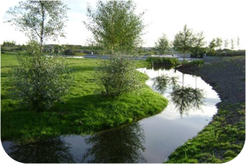 園冶杯專業(yè)獎(jiǎng)：岳陽(yáng)南湖龍山景區(qū)園林綠化景觀EPC項(xiàng)目