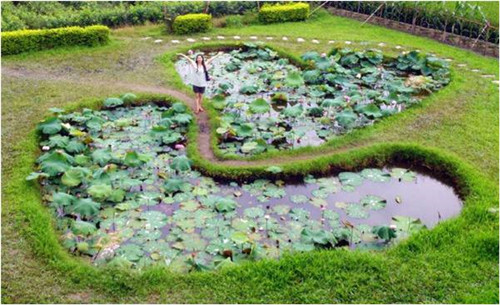 園冶杯專業(yè)獎(jiǎng)：岳陽(yáng)南湖龍山景區(qū)園林綠化景觀EPC項(xiàng)目