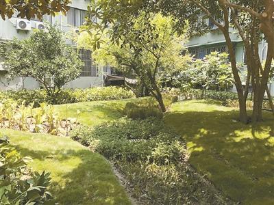 杭州：老小區老建筑如何享受海綿城市福利
