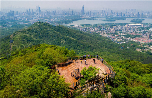 園冶杯專業(yè)獎(jiǎng)：中山陵園風(fēng)景區(qū)頭陀嶺區(qū)域環(huán)境整治工程