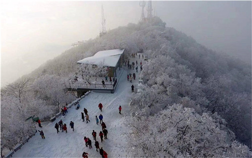 園冶杯專業(yè)獎(jiǎng)：中山陵園風(fēng)景區(qū)頭陀嶺區(qū)域環(huán)境整治工程