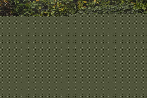 國內外花藝大師同臺獻藝 秦皇島舉辦國際插花藝術展