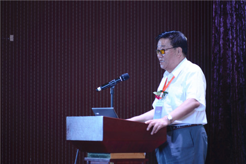 中外大師齊聚衡水 探討濱水城市發(fā)展之路