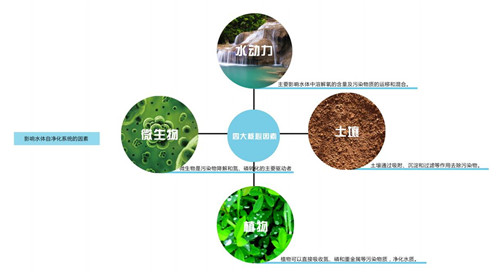 園冶杯專業獎：楊柳灣濱河公園景觀設計