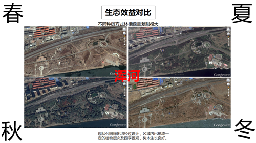朱玲：城市大型公共綠地生態(tài)智慧迭代