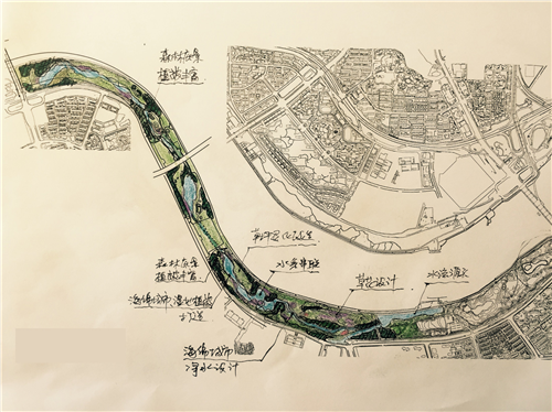 朱玲：城市大型公共綠地生態(tài)智慧迭代
