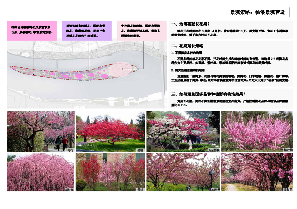 園冶杯專業(yè)獎(jiǎng)：衡陽(yáng)市東洲島綜合開發(fā)項(xiàng)目景觀設(shè)計(jì)