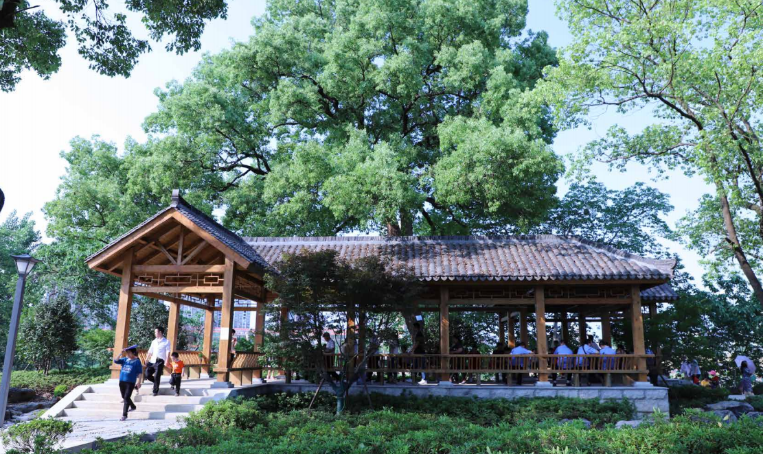 園冶杯專業(yè)獎(jiǎng)：衡陽(yáng)市東洲島綜合開發(fā)項(xiàng)目景觀設(shè)計(jì)