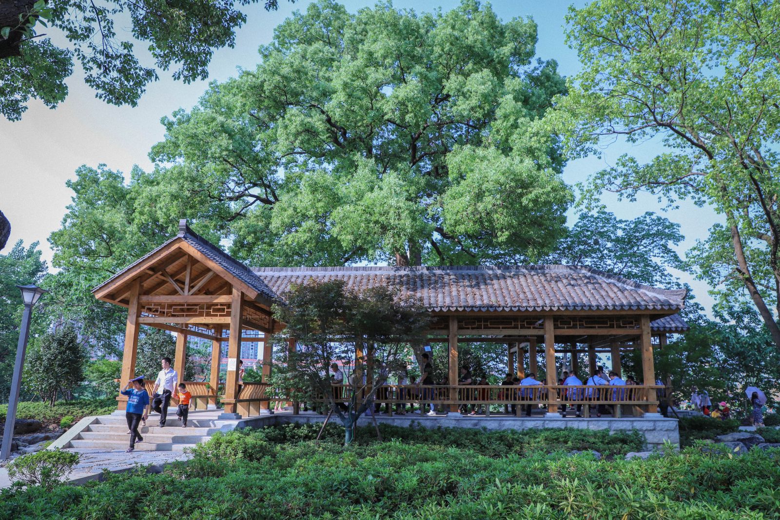 園冶杯專業(yè)獎(jiǎng)：衡陽(yáng)市東洲島綜合開發(fā)項(xiàng)目景觀設(shè)計(jì)