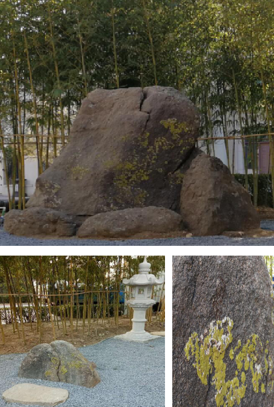園冶杯專業(yè)獎(jiǎng)：麗高王府庭院景觀設(shè)計(jì)