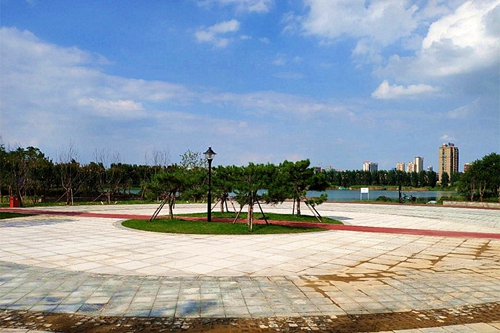 園冶杯專業(yè)獎(jiǎng)：老黿塘濕地公園