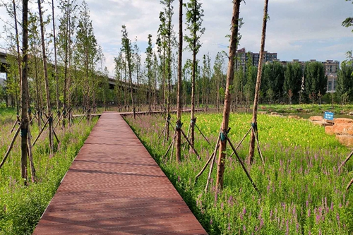 園冶杯專業(yè)獎(jiǎng)：老黿塘濕地公園