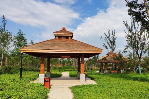 園冶杯專業(yè)獎(jiǎng)：老黿塘濕地公園