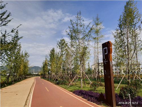 園冶杯專業獎：云南昭通大山包綠道工程項目