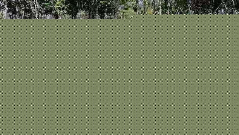 河北省第二屆園博會花境作品——碣石仙臺